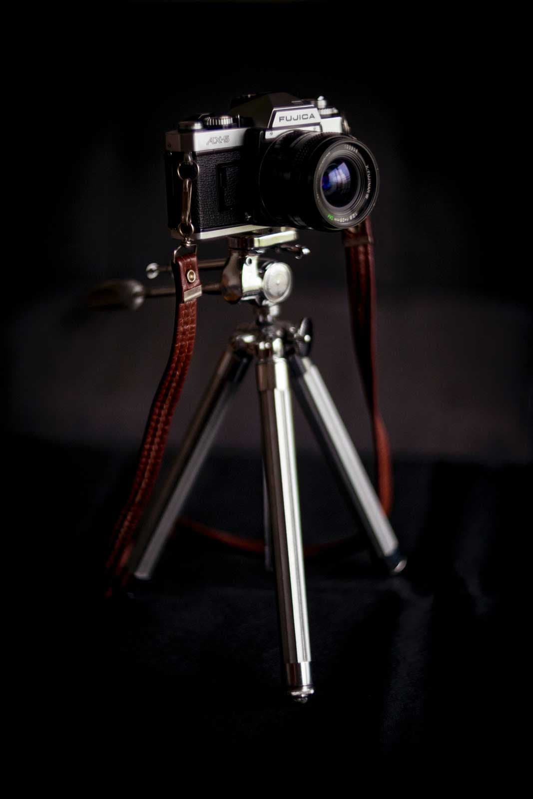 Plavani pro deti poukaz - fotografie 1